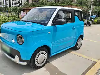 Ruilan Auto Ruilan Blue Elf 2025