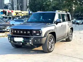 Jetour Shanhai Jetour Shanhai T2 2024