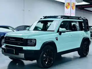 Haval Meng Long NEV 2025