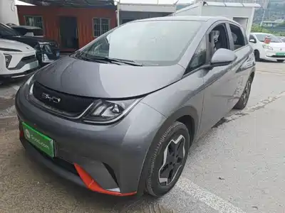 BYD Dolphin 2022