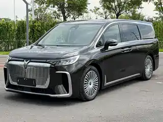 Voyah Auto Dreamer 2024