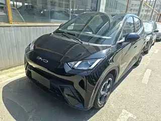 BYD Seagull 2024
