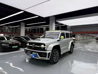Crossboundary Auto Co-created Tank 300 2021
