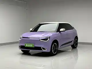 Dongfeng Yipai Nano 01 2024