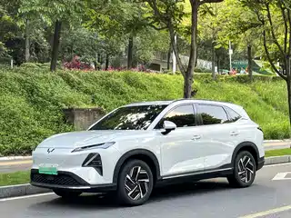 Wuling Motors Xingguang S 2024