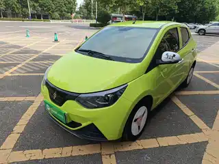 JMCG New Energy Little Kirin 2023
