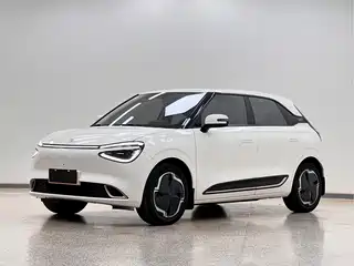Dongfeng Yipai Nano 01 2024