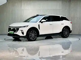 Voyah Auto Voyah Zhiyin 2025