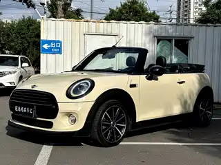MINI MINI 2019