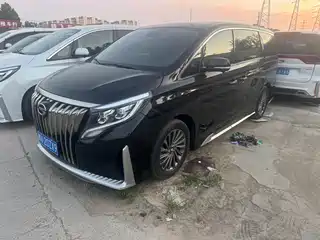GAC Trumpchi M8 2020
