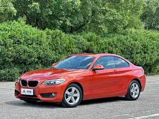 BMW BMW 2 Series (Import) 2014