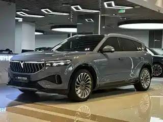 Voyah Auto FREE 2021