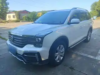 GAC Trumpchi GS8 2020