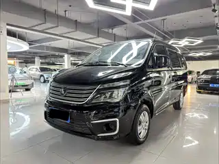 Dongfeng Fengxing Lingzhi 2021