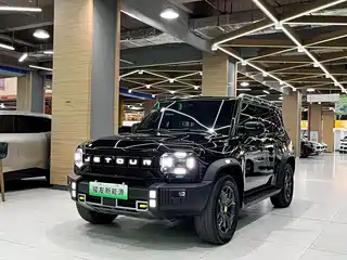 Jetour Shanhai T2 2024