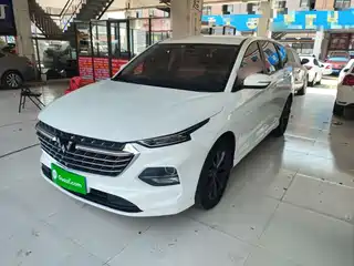 Wuling Motors Wuling Victory 2020