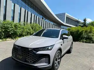 BYD Tang New Energy 2024