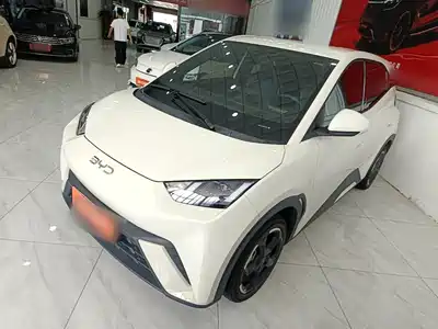 BYD Seagull 2024