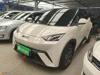BYD Seagull 2024