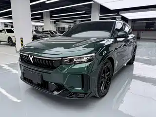 Voyah Auto FREE 2024