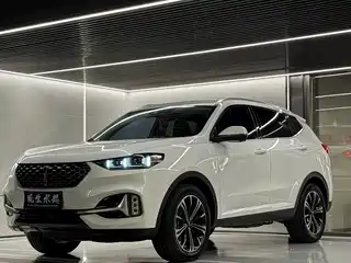 WEY VV6 2020