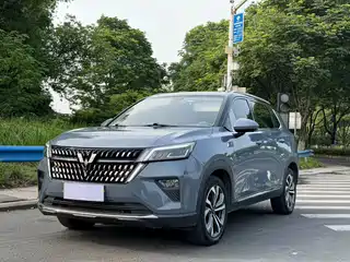 Wuling Motors Wuling Xingchen 2021