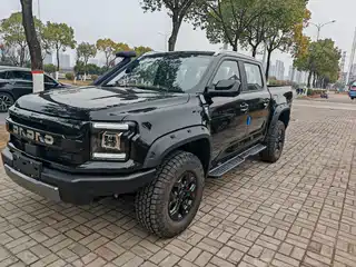 Jiangling Dadao 2024
