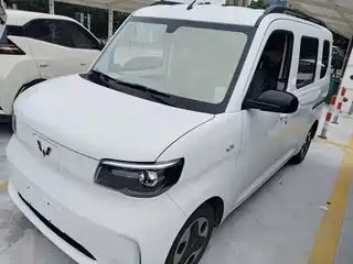 Wuling Motors Zhiguang NEV 2025
