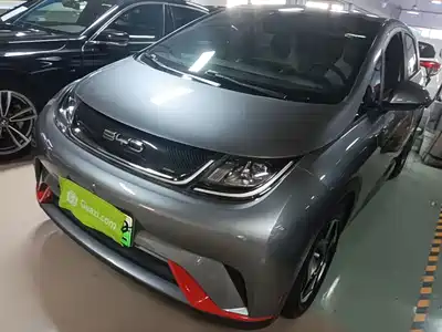 BYD Dolphin 2022