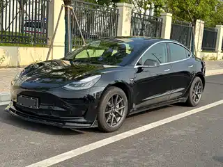 Tesla Model 3 2020