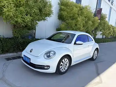 Volkswagen Beetle 2014