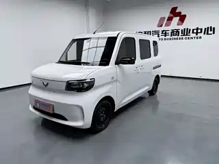 Wuling Motors Zhiguang NEV 2025