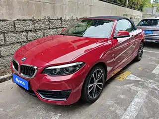 BMW 2 Series (Import) 2017