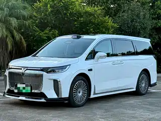 Voyah Auto Voyah Dreamer 2025