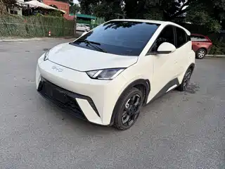 BYD Seagull 2024