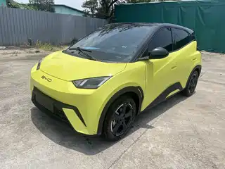 BYD Seagull 2024
