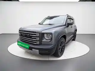 Haval Meng Long NEV 2024