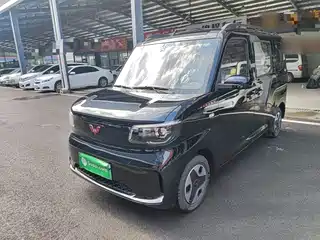 Wuling Motors Zhiguang NEV 2025