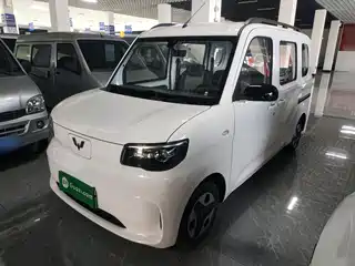 Wuling Motors Wuling Zhiguang NEV 2025
