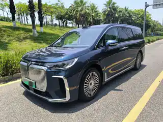 Voyah Auto Dreamer 2025