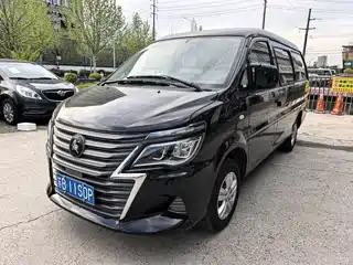 Dongfeng Fengxing Lingzhi 2023