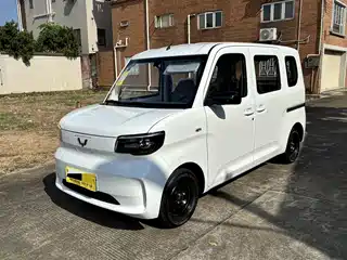 Wuling Motors Zhiguang NEV 2025