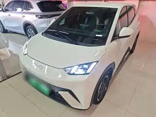 BYD Seagull 2024