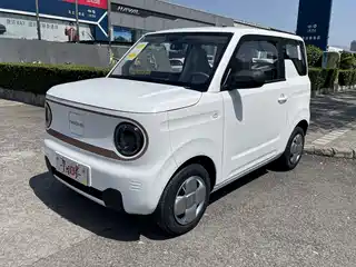 Geely Galaxy Panda 2026