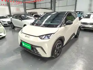 BYD Seagull 2024