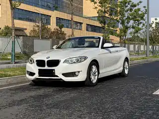 BMW 2 Series (Import) 2015