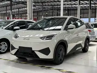 BYD Seagull 2026