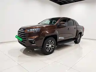 Jiangling Yuhu 9 2019