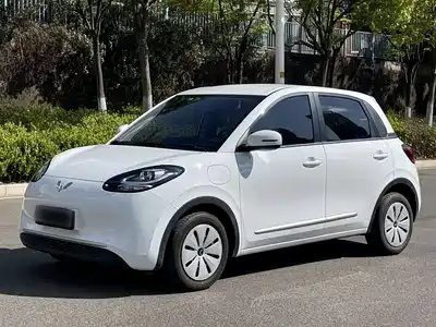 Wuling Motors Bingo 2024