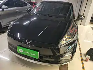 Wuling Motors Xingguang 2024